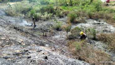 Bomberos apagando incendio forestal